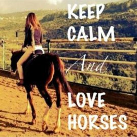 #keep #calm #horse #sunny #day #equiclub