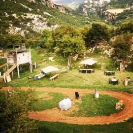 Our paintball field is also a joyful place for nature partyy :D #paintball #outdoor #nature #equiclub